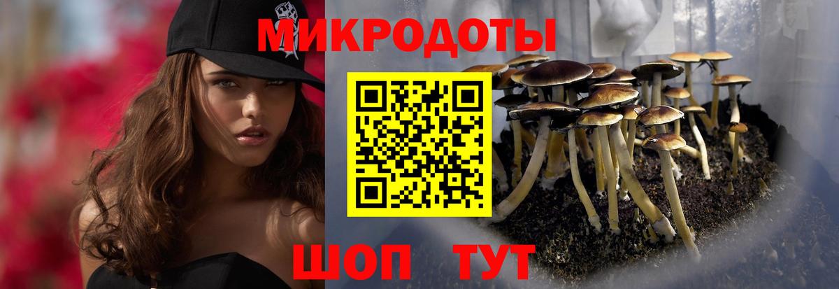 Галлюциногенные грибы GOLDEN TEACHER  Вход с VPN  Галлюциногенные грибы мицелий  Котлас 